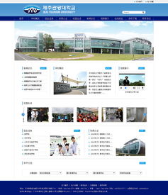 網(wǎng)站設(shè)計(jì)與微信第三方程序開發(fā) 打造無縫互聯(lián)的數(shù)字體驗(yàn)